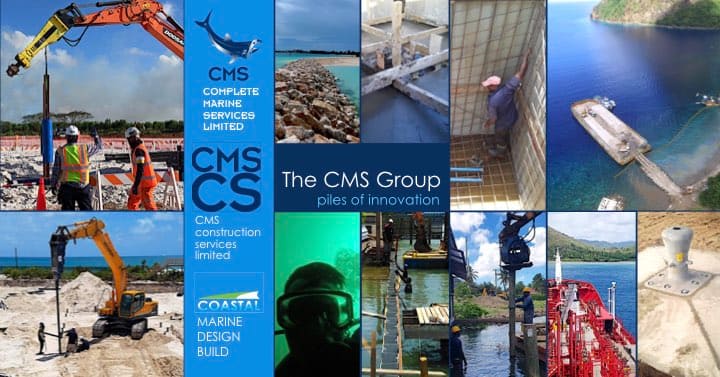 The CMS Group in 2020